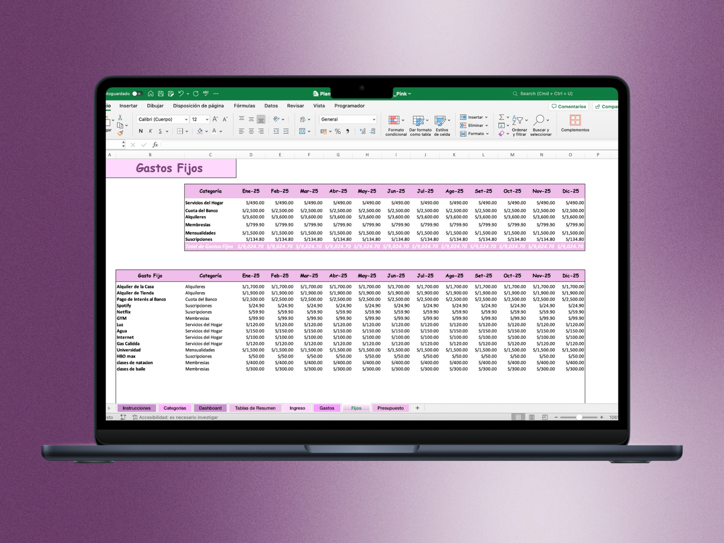 Plantilla de Excel de Finanzas Personales- Pink