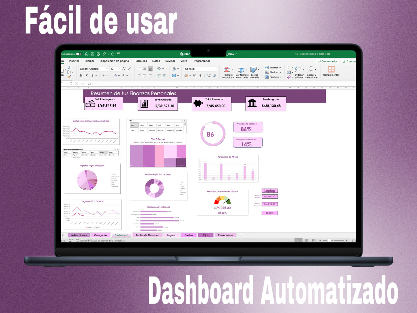 Plantilla de Excel de Finanzas Personales- Pink